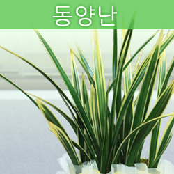 ������ ī�װ��� #3