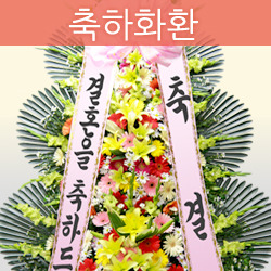 ������ ī�װ��� #5