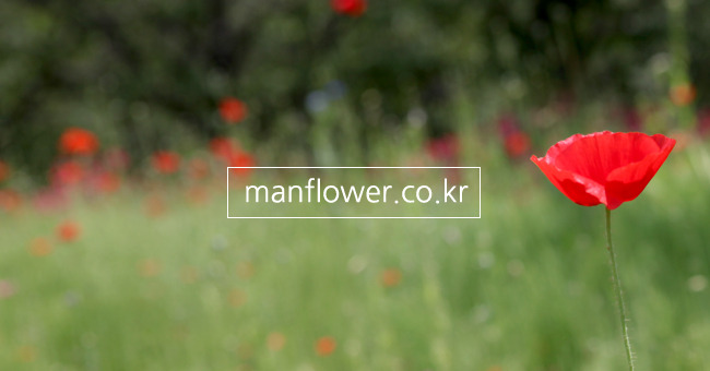 �Ұ��̹���