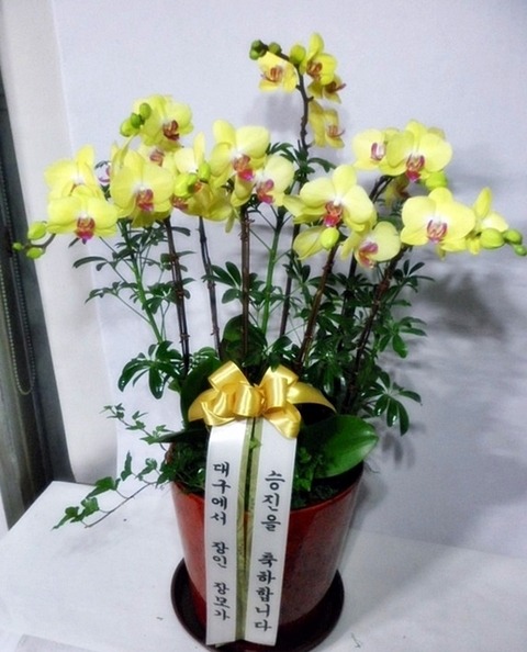 160213 뱸 ,