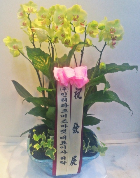 160708 Ź