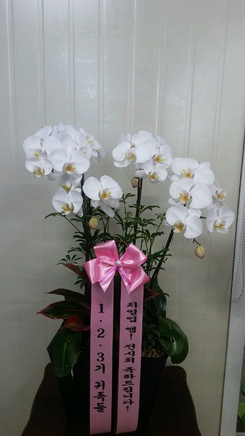 160713 1,2,3, 